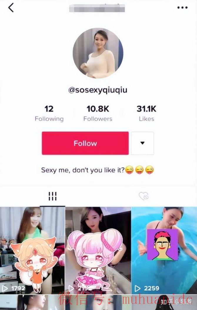 tiktok账号购买平台