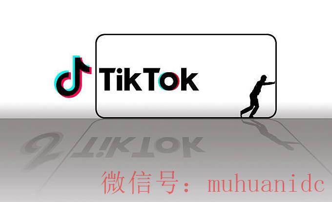 tiktok账号购买平台