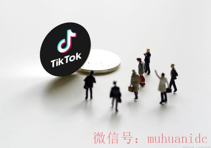 tiktok账号购买平台