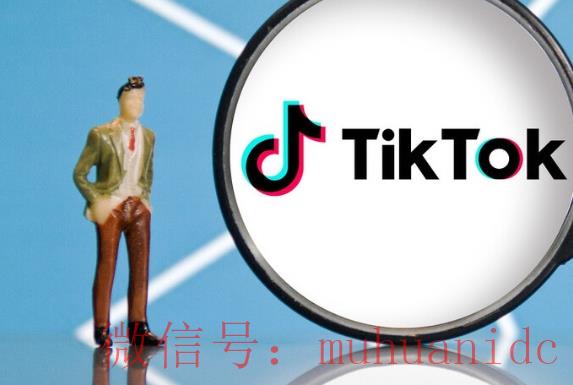 tiktok账号购买平台