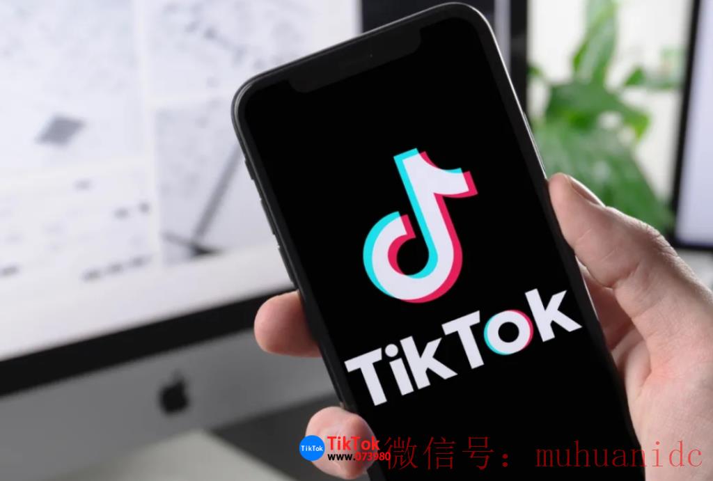 tiktok账号购买平台