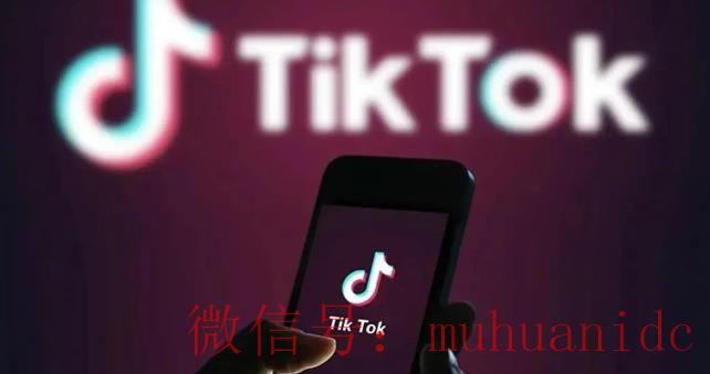 tiktok账号购买平台