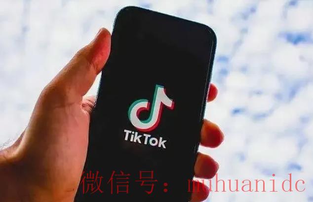 tiktok账号购买平台