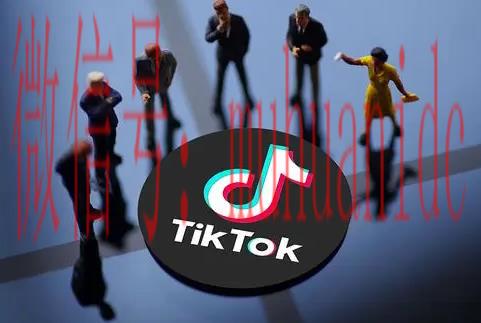 tiktok账号购买平台