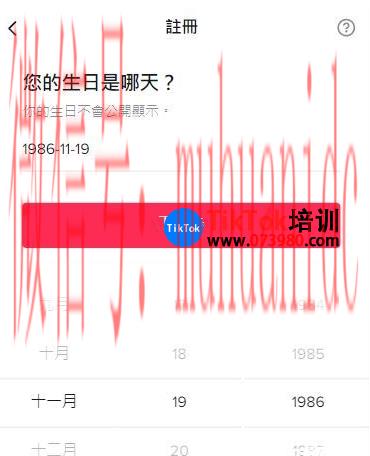 tiktok账号购买平台