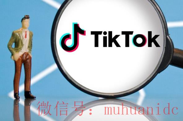 tiktok账号购买平台