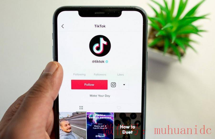 tiktok账号购买平台