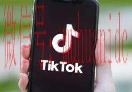 tiktok账号购买平台