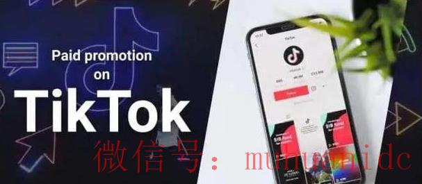 tiktok账号购买平台