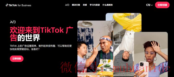 tiktok账号购买平台