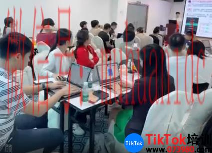 tiktok账号购买平台