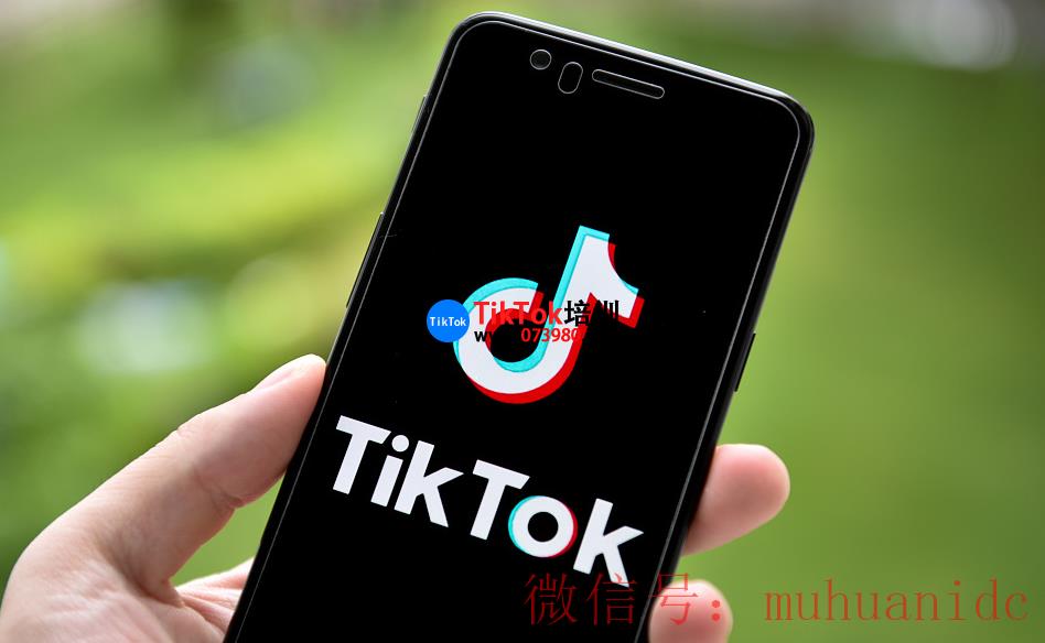 tiktok账号购买平台