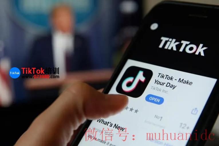 tiktok账号购买平台