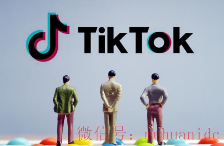 tiktok账号购买平台
