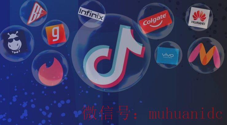 tiktok账号购买平台