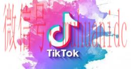tiktok账号购买平台