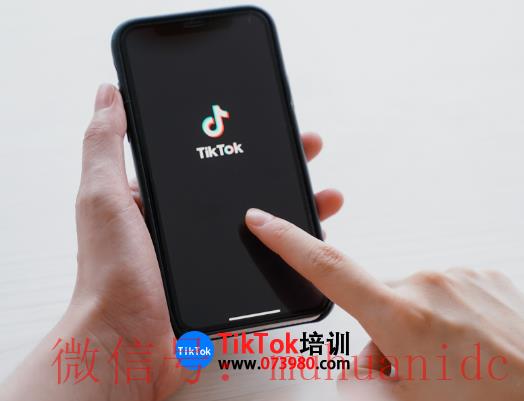 tiktok账号购买平台