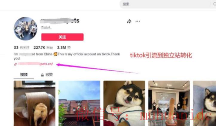 tiktok账号购买平台