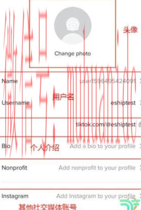 tiktok账号购买平台