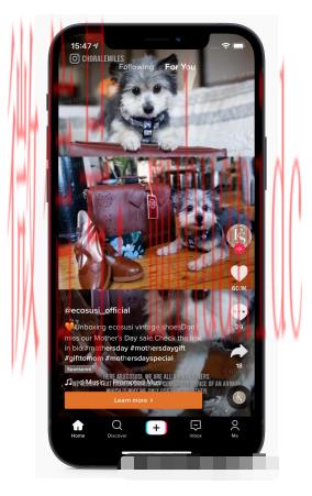 tiktok账号购买平台