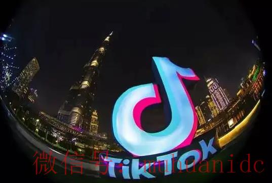 tiktok账号购买平台