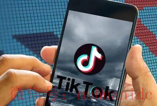 tiktok账号购买平台