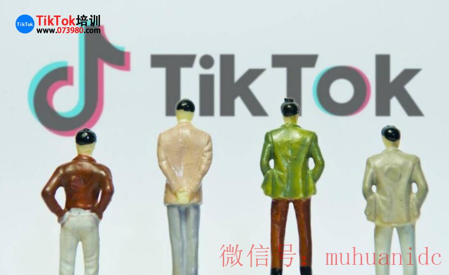 tiktok账号购买平台