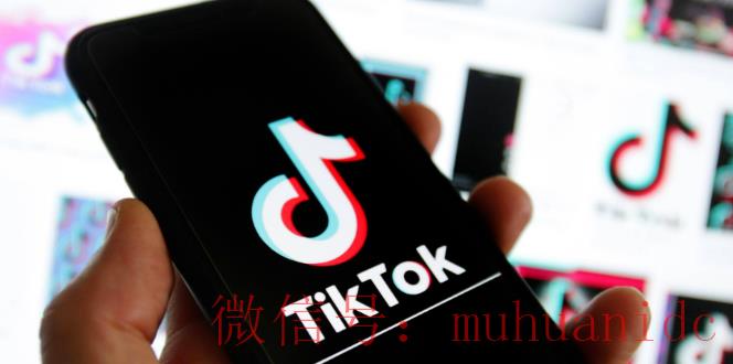 tiktok账号购买平台