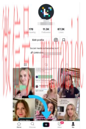 tiktok账号购买平台