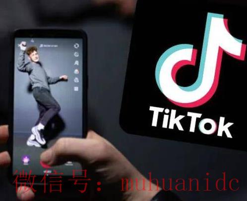 tiktok账号购买平台