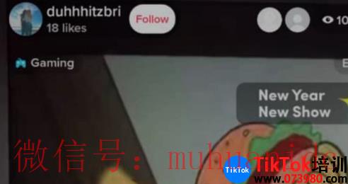 tiktok账号购买平台