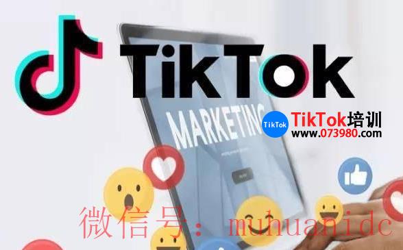 tiktok账号购买平台