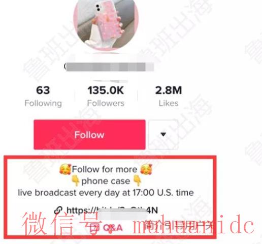 tiktok账号购买平台