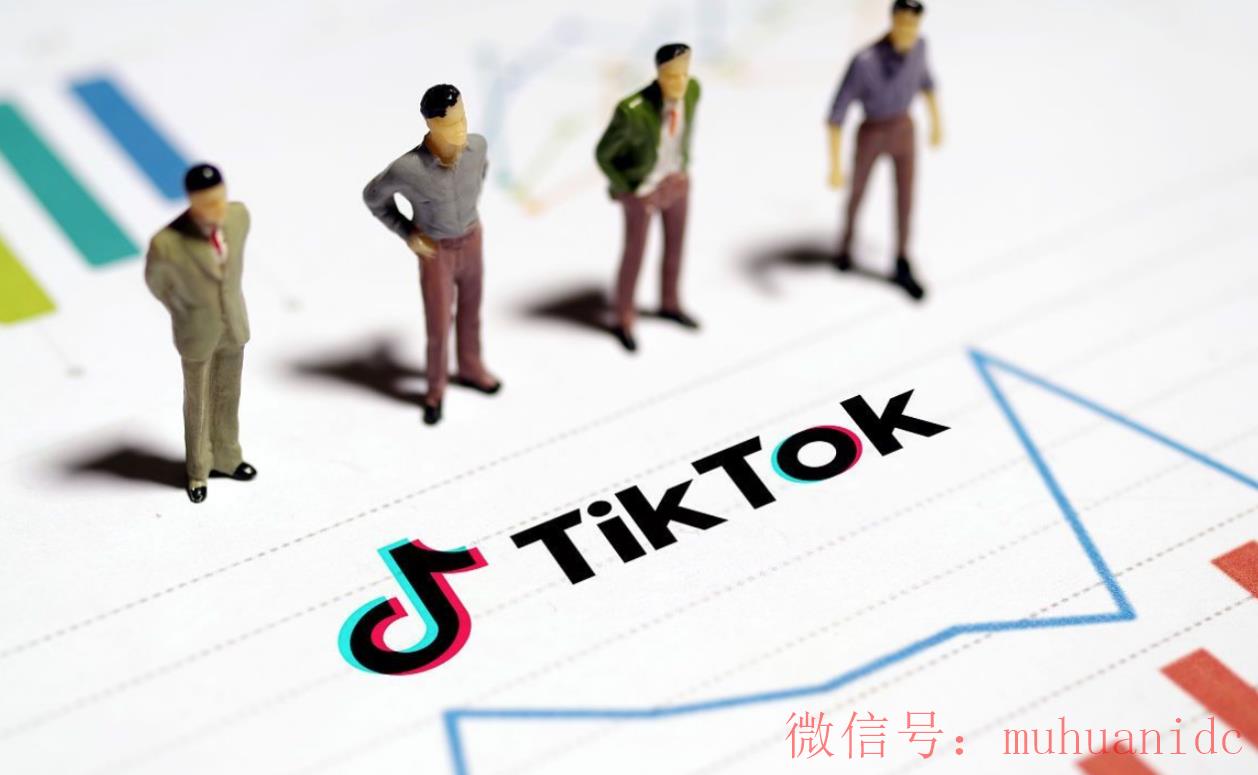 tiktok账号购买平台