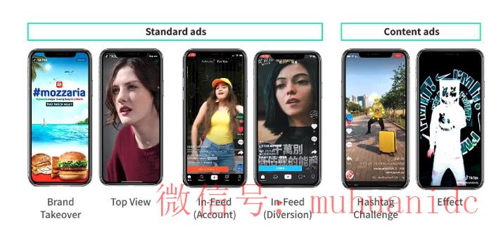 tiktok账号购买平台