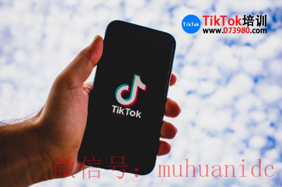 tiktok账号购买平台