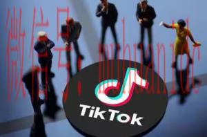 tiktok账号购买平台