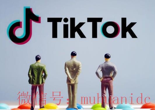 tiktok账号购买平台