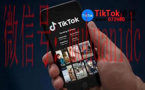 tiktok账号购买平台