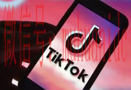 tiktok账号购买平台
