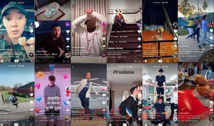 tiktok账号购买平台