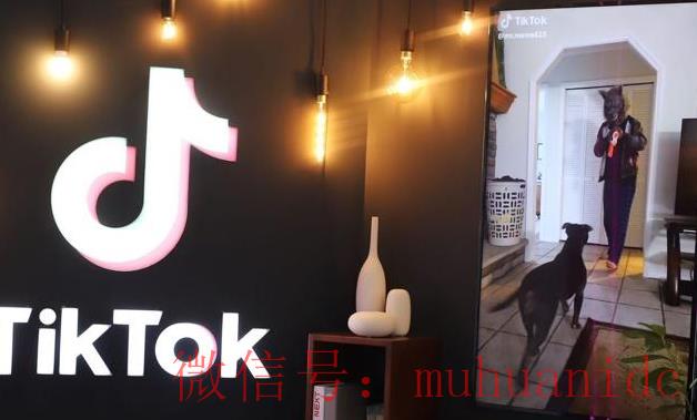 tiktok账号购买平台