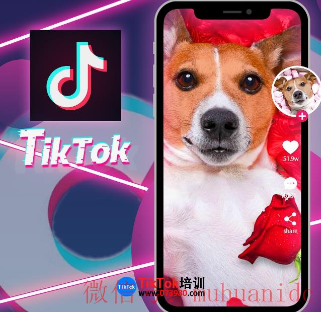 tiktok账号购买平台