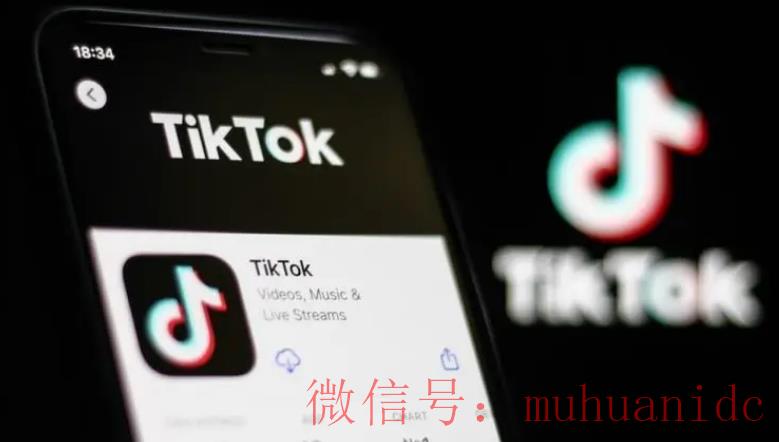 tiktok账号购买平台
