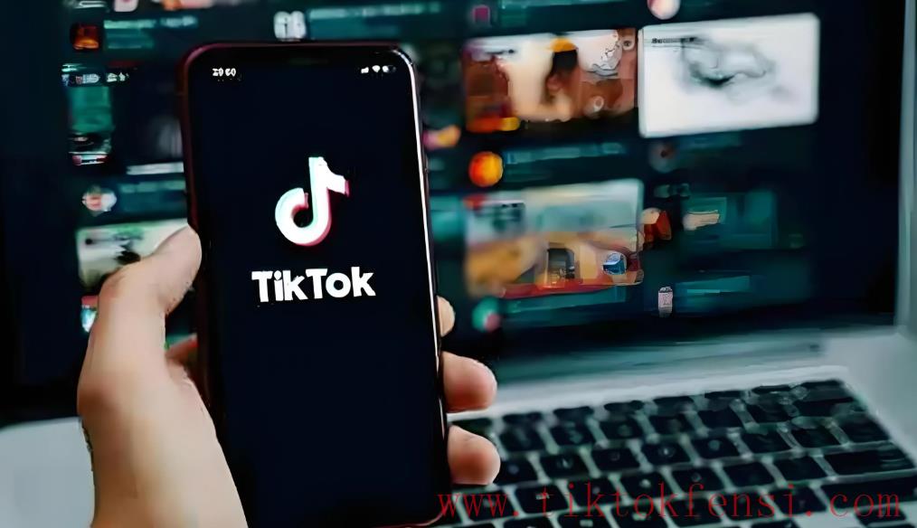 tiktok账号购买平台