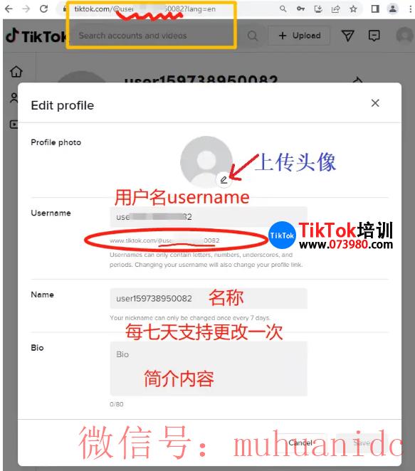 tiktok账号购买平台