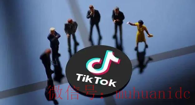 tiktok账号购买平台