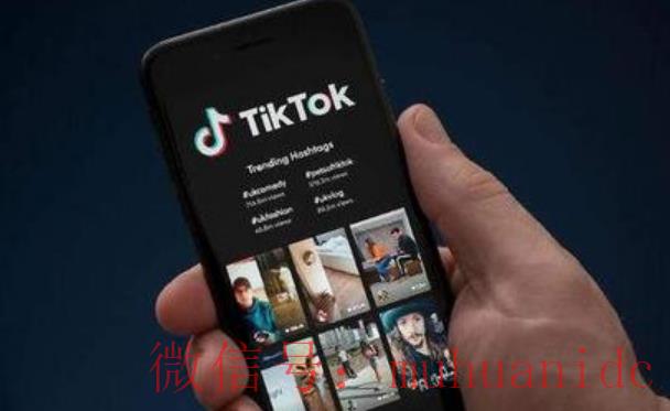 tiktok账号购买平台
