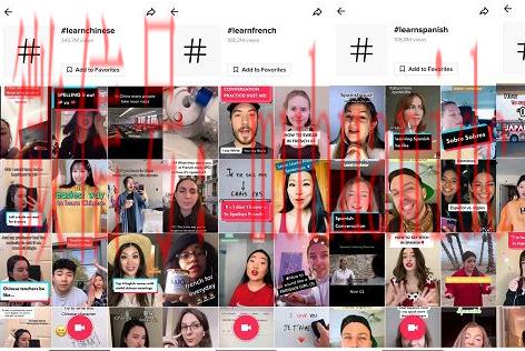 tiktok账号购买平台