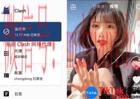 tiktok账号购买平台